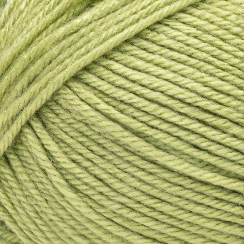 Bernat Fabwoolous Yarn-Pine Lime |   Basic Yarn Basic Yarn Basic Yarn