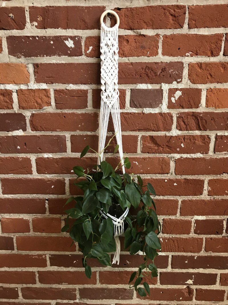 DIY Macrame Plant Hanger Kit – The Evelyn  |   Macrame Macrame Macrame