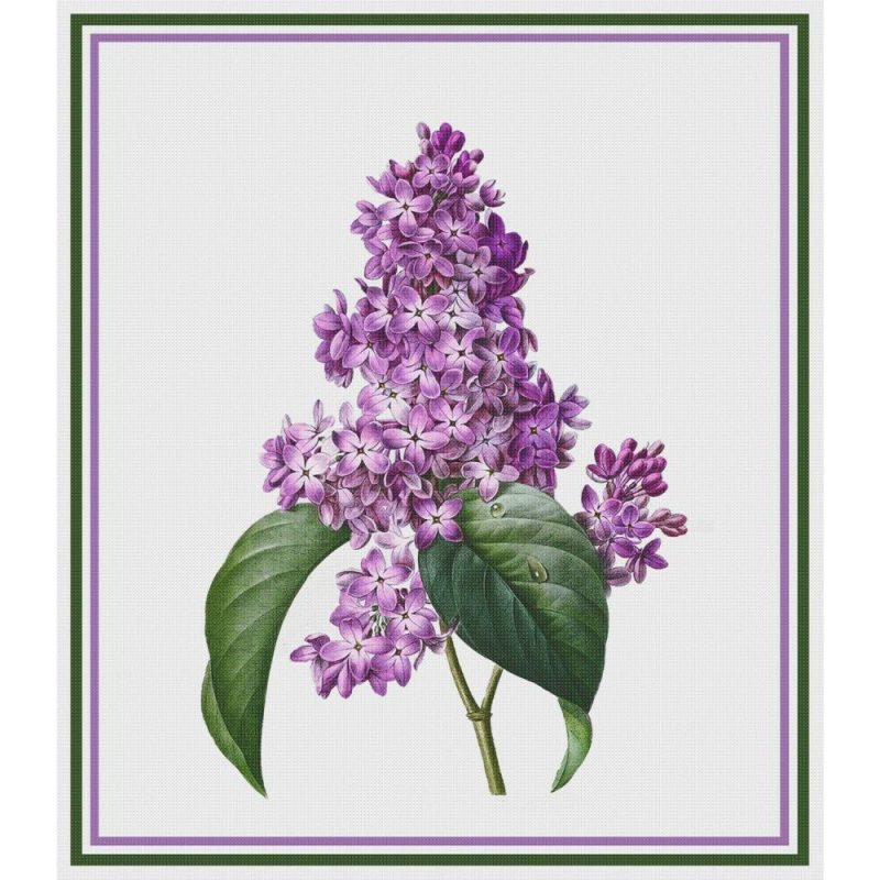 Lilac Flower Inspired by Pierre-Joseph Redoute Counted Cross Stitch Pattern  |   Cross Stitch & Embroidery Cross Stitch & Embroidery Cross Stitch & Embroidery