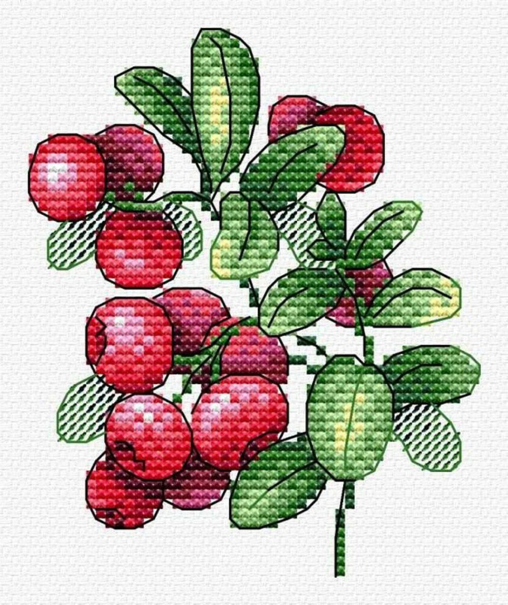 Lingonberry flavor SM-551 Counted Cross-Stitch Kit  |   Cross Stitch & Embroidery Cross Stitch & Embroidery Cross Stitch & Embroidery