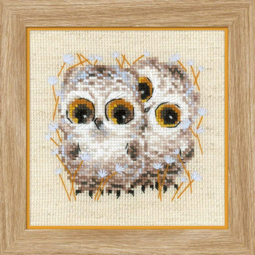 Little Owls R1755 Counted Cross Stitch Kit  |   Cross Stitch & Embroidery Cross Stitch & Embroidery Cross Stitch & Embroidery