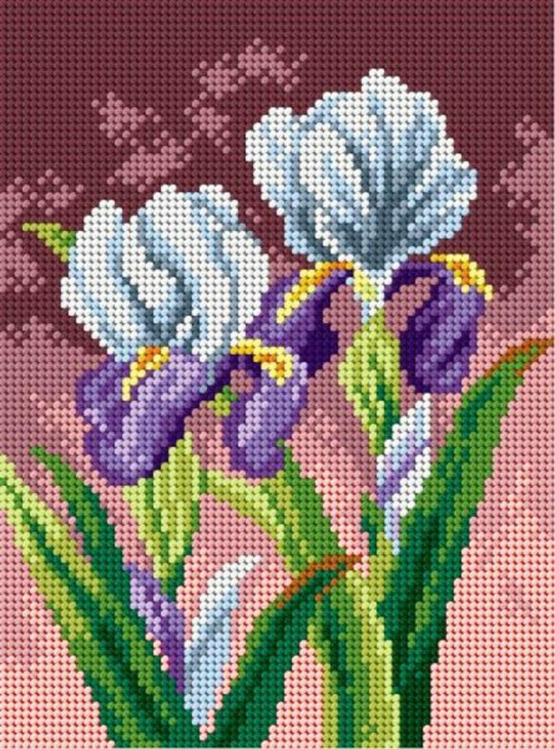 Needlepoint canvas for halfstitch without yarn Spring Irises 2595F – Printed Tapestry Canvas  |   Needlepoint Needlepoint Needlepoint