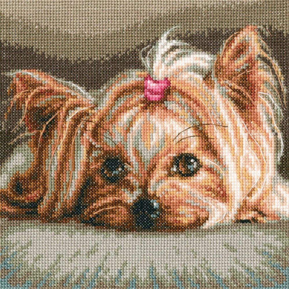 Pet M709 Counted Cross Stitch Kit  |   Cross Stitch & Embroidery Cross Stitch & Embroidery Cross Stitch & Embroidery