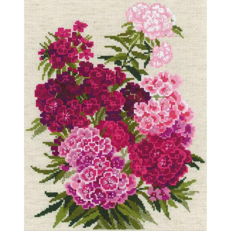 Sweet William Cross Stitch Kit  |   Cross Stitch & Embroidery Cross Stitch & Embroidery Cross Stitch & Embroidery