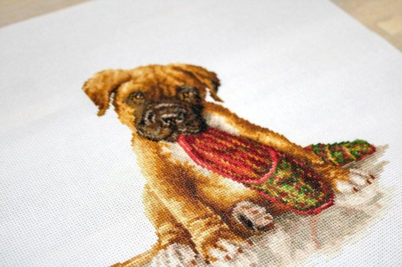 The Boxer B2338L Counted Cross-Stitch Kit  |   Cross Stitch & Embroidery Cross Stitch & Embroidery Cross Stitch & Embroidery