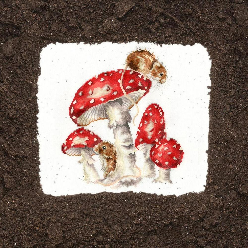 The Fairy Ring Counted Cross Stitch Kit  |   Cross Stitch & Embroidery Cross Stitch & Embroidery Cross Stitch & Embroidery